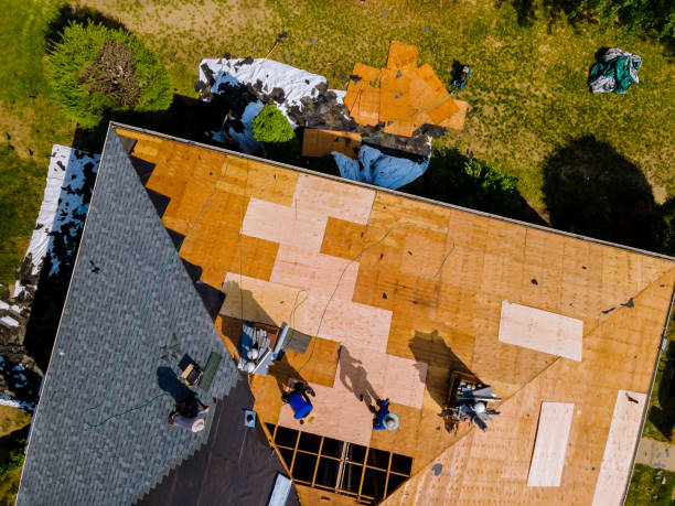 Best Commercial Roofing Services  in Hazel Green, AL
